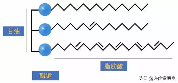 人们吃的脂肪有哪些,可以吃哪些优质脂肪