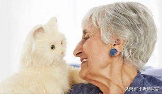 为什么猫咪适合老人养,猫咪步入老年的状态