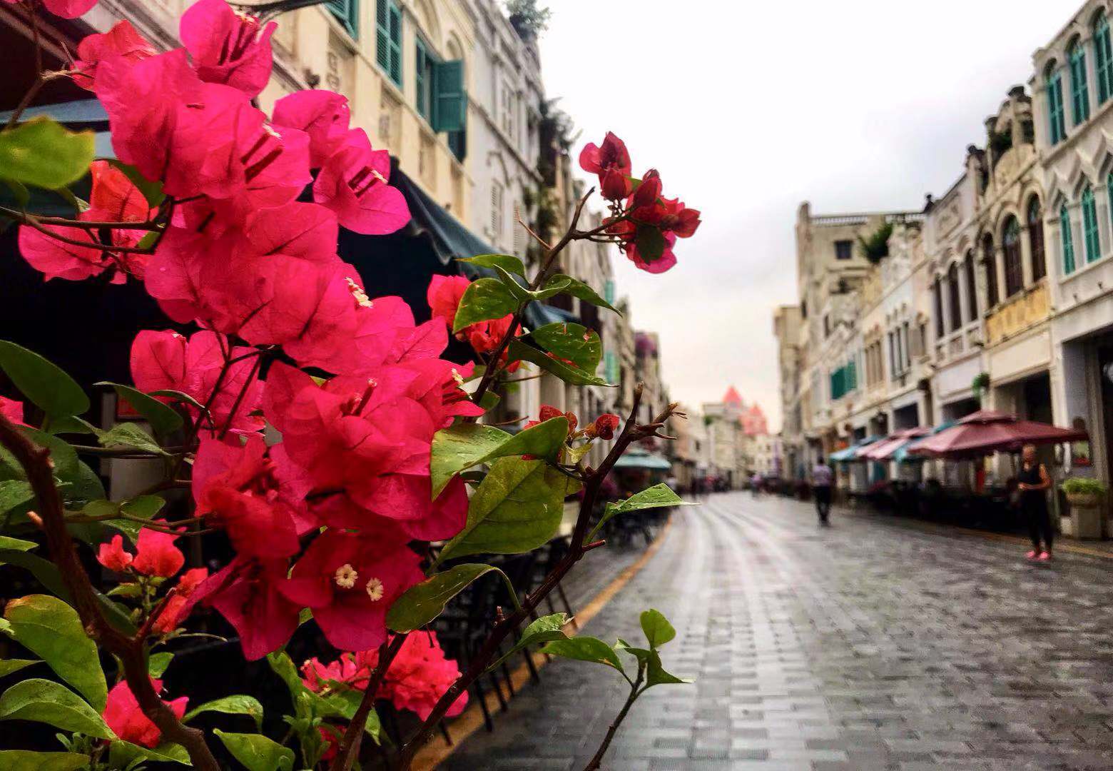 海南自驾游最美线路推荐,海南旅游攻略自驾最佳线路推荐