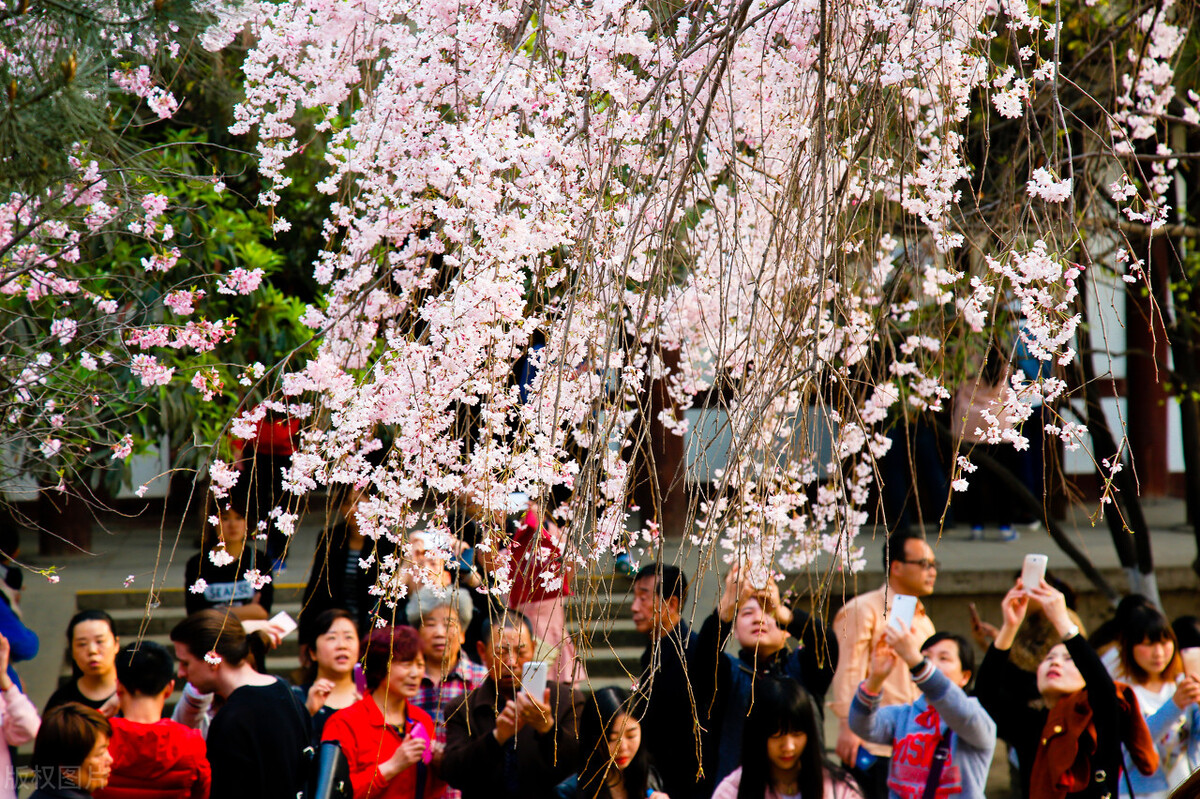 西安旅游攻略适合亲子游的地方,西安最适合亲子打卡的旅游胜地