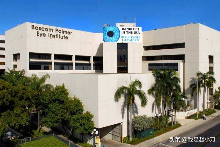 当今世界白内障手术,白内障手术为什么那么多钱