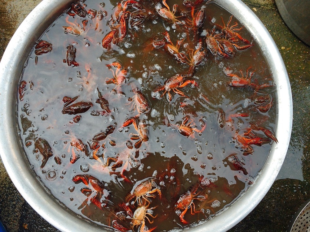 小龙虾是刷了再泡还是泡了再洗,洗小龙虾要不要放小苏打