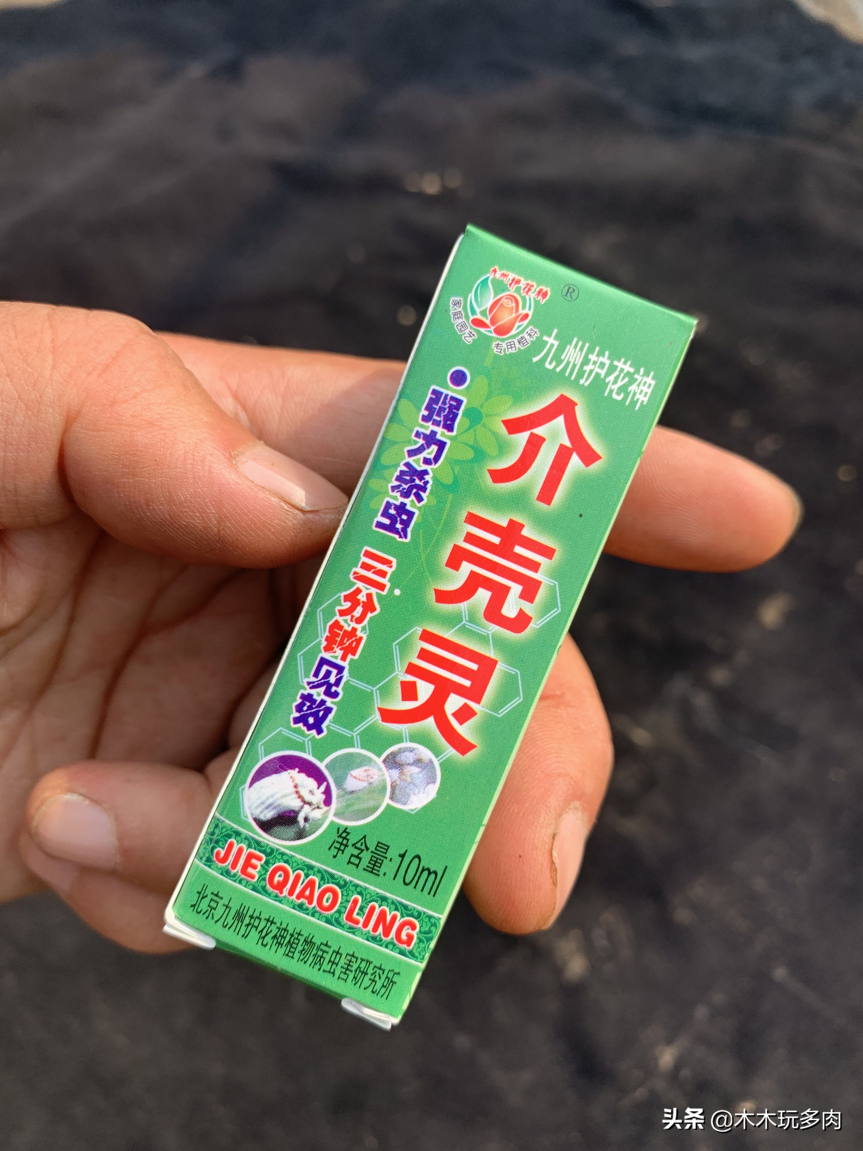 预防多肉化水用的药,多肉防止化水的药