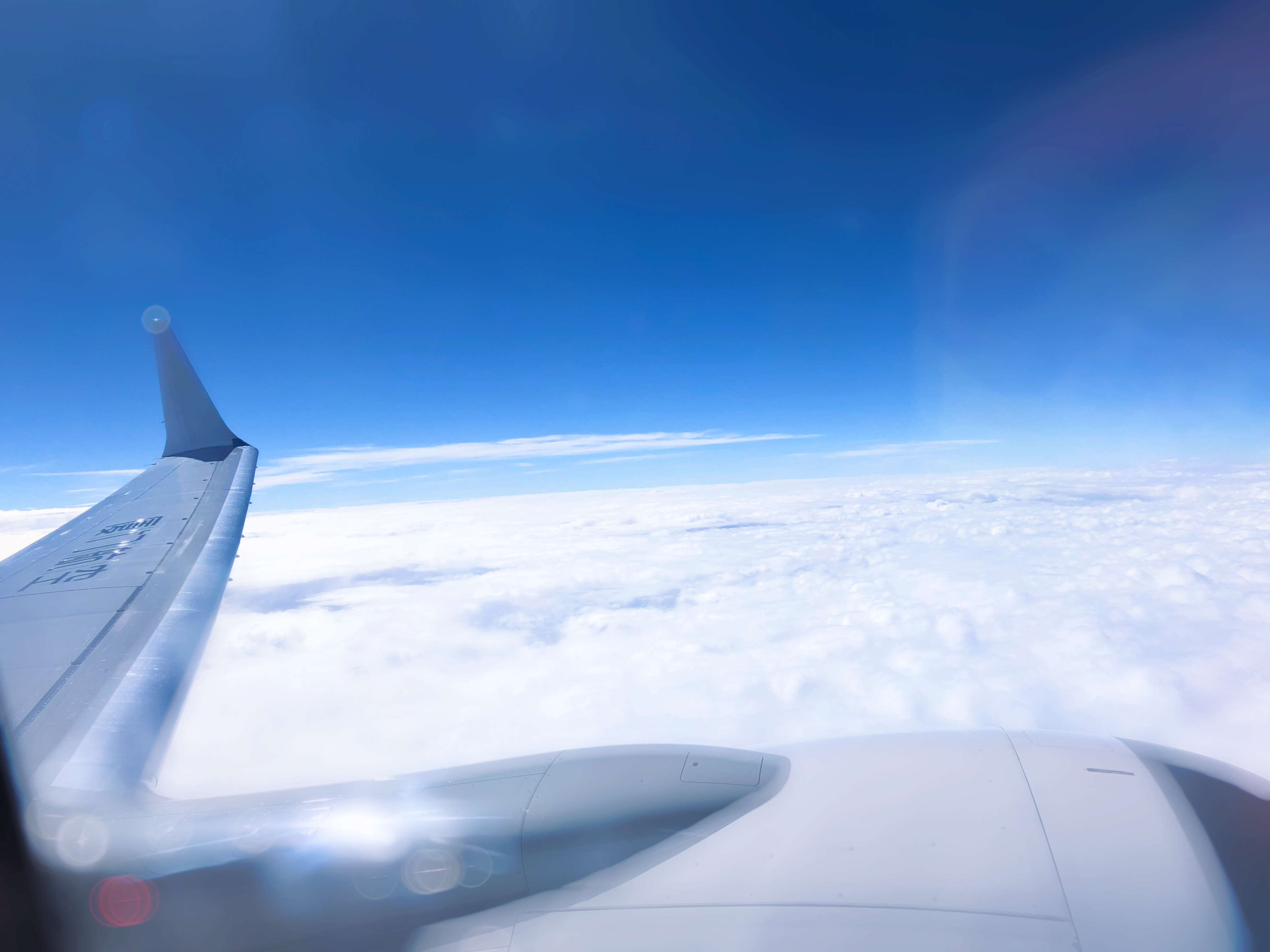 吃货夫妻结婚2周年，去成都逛吃逛吃，3天花了5600元~