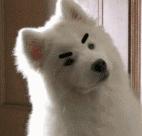 生长纹会慢慢消失吗,怎么样才能阻止生长纹