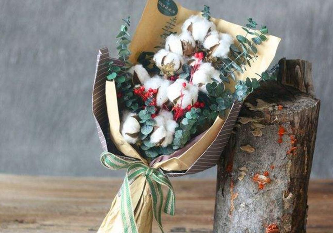 棉田管理的方法,棉田除草的正确方法