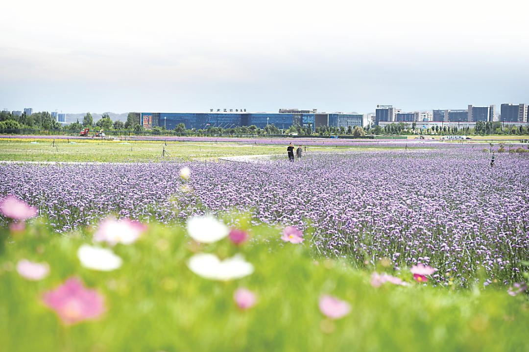 顶流互联网创业,顶流主动出击