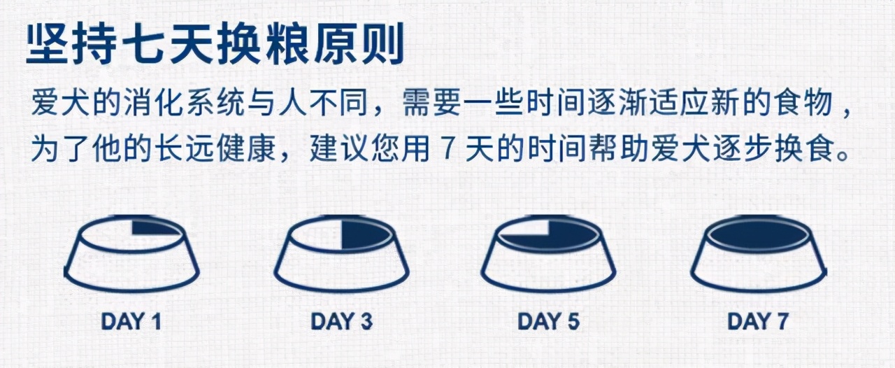 狗狗呕吐白色的泡沫粘液吃什么药,狗狗咳嗽呕吐白色粘液是什么原因