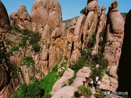 九佛为什么叫九佛,九佛真实身份揭秘