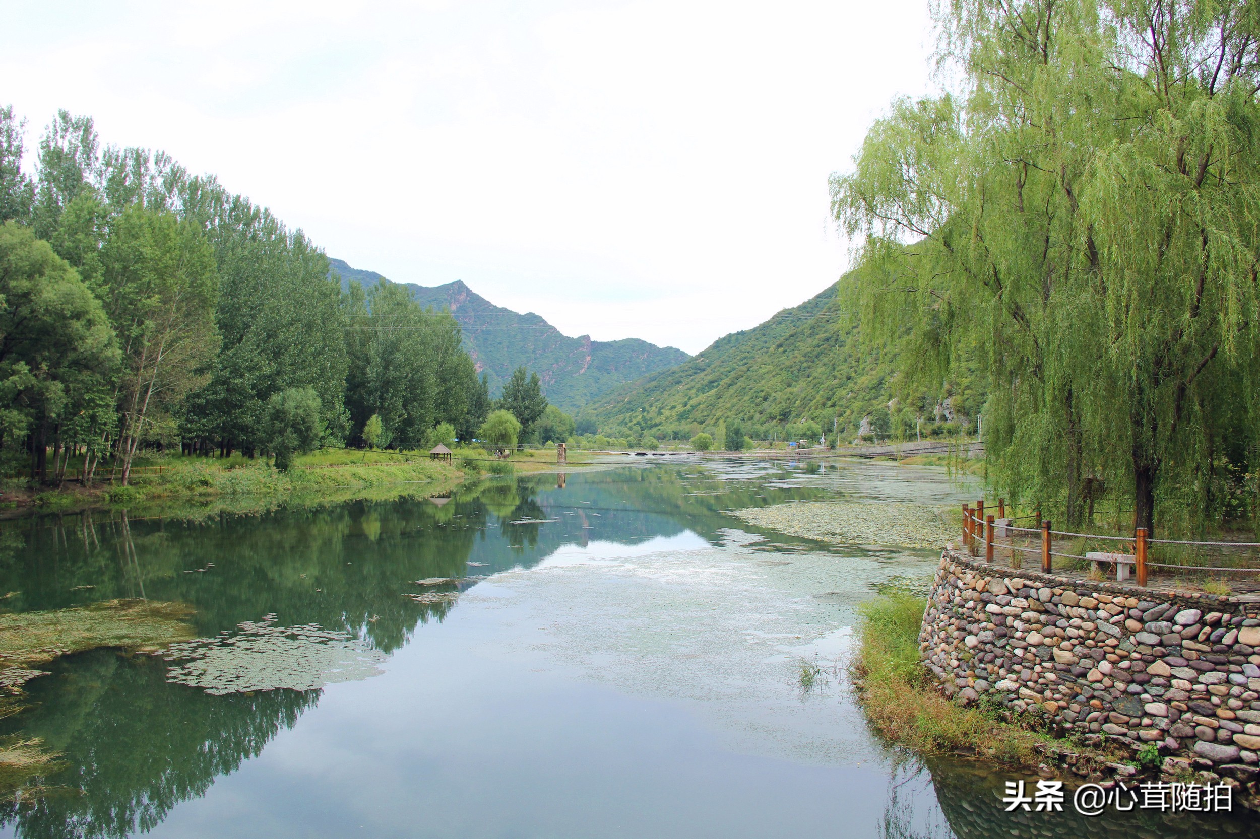 自驾白河湾,白河湾自然风景区自驾