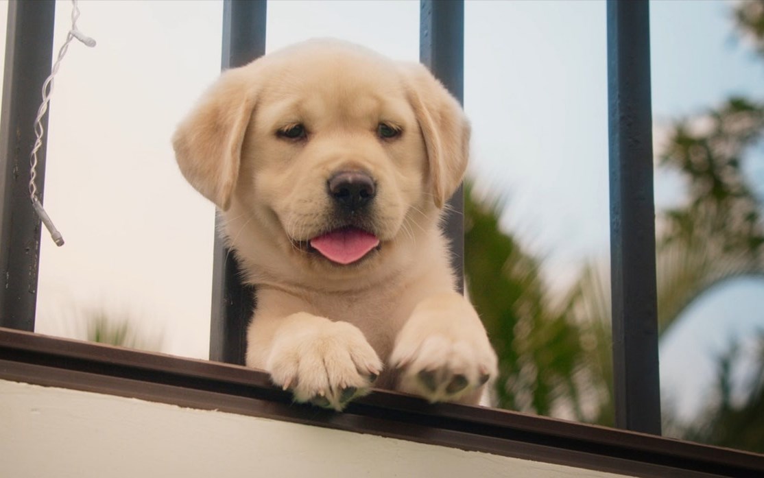 你有被人坚定的选择过吗原视频,你有被人坚定的选择过吗