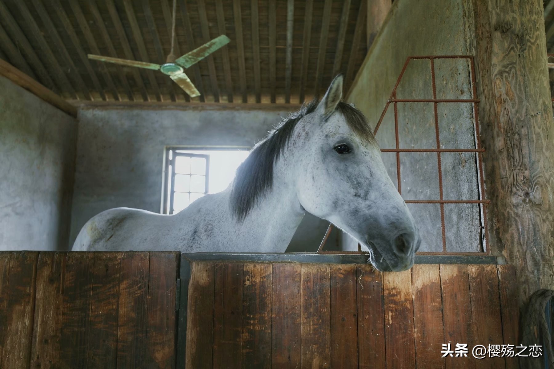 浙江文化底蕴最为深厚的城市,浙江一共多少个省级历史文化名镇