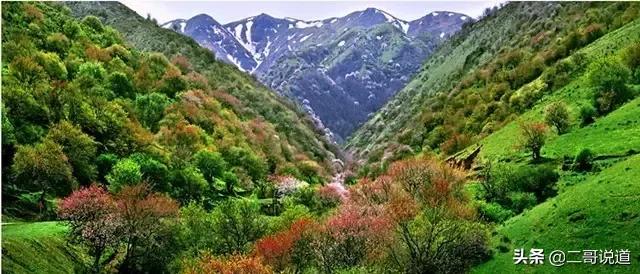 全新疆旅游景点有哪些,新疆带沟的旅游景点