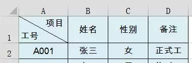 xlsx斜线表头,word斜线表头