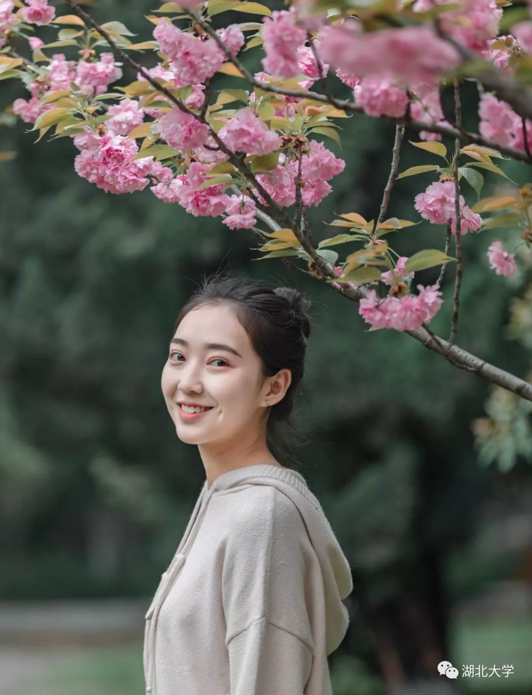 2023年考研报考人数继续飙升,考研关注