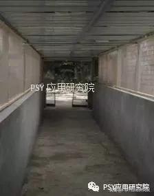 猪场有非瘟怎么消毒与复产,当下猪场非瘟防控