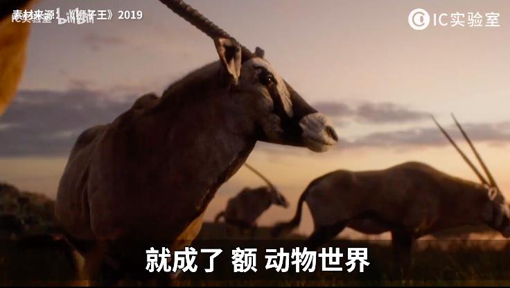 花木兰国内未上映口碑先崩塌,花木兰迪士尼最强公主