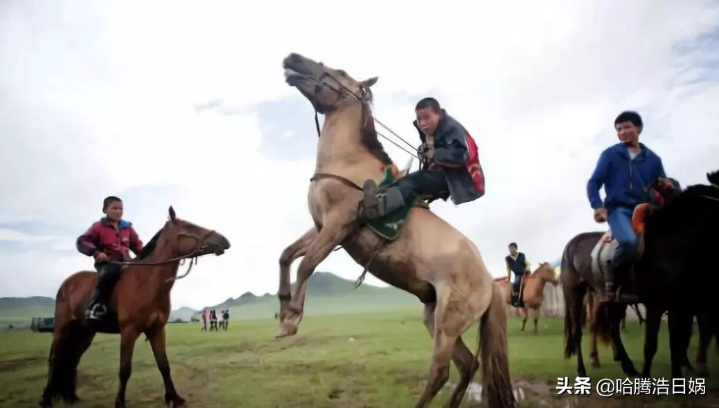 外国媒体列举蒙古人的14个实据