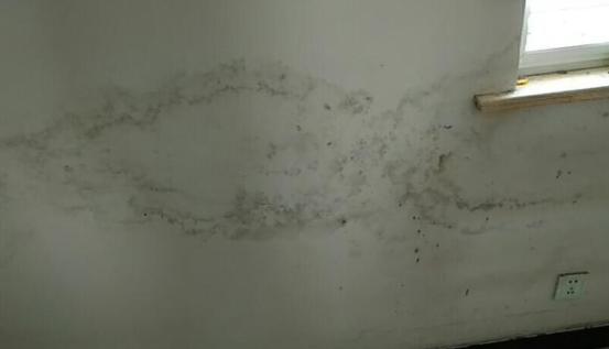 墙面返潮的原因及解决办法,墙面返潮彻底解决方法