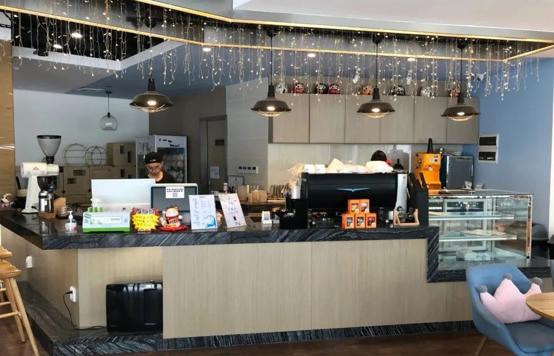 欢迎同行入内，这是一家为宠物店而开的宠物