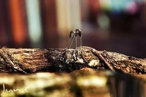 天才却无远见：关于别针的真实故事