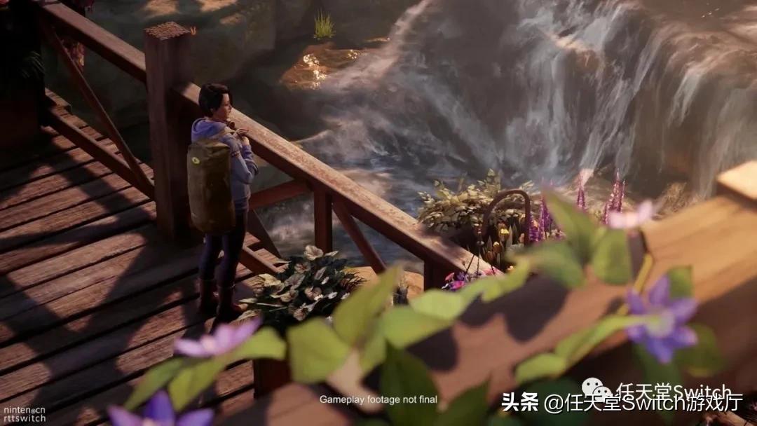 没有任天堂会员能打喷火龙吗,没有任天堂会员能玩吗