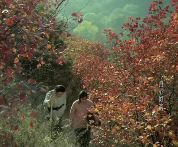 这部八一厂经典影片，斯琴高娃与赵尔康主演，值得被铭记