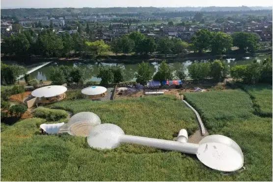 城市公园怎么玩,公园玩法