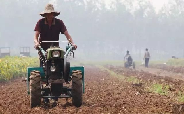 豆角钻心虫防治办法,豆角里面的钻心虫用什么药防治