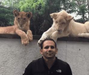 肾虚吃腰子能补肾吗,肾亏腰疼吃枸杞有用吗