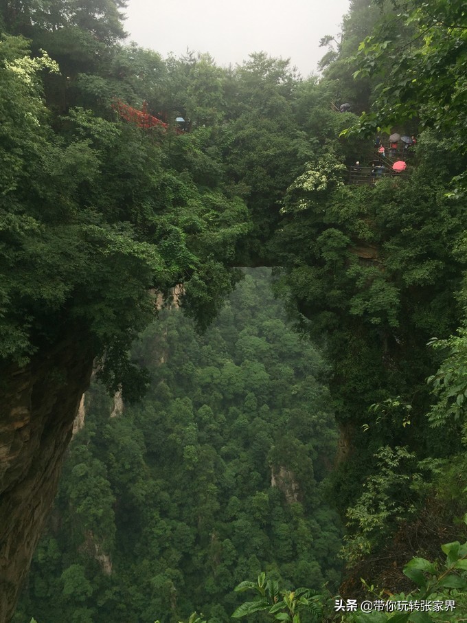到张家界天门山自助游价格多少钱,武汉到张家界天门山三日游