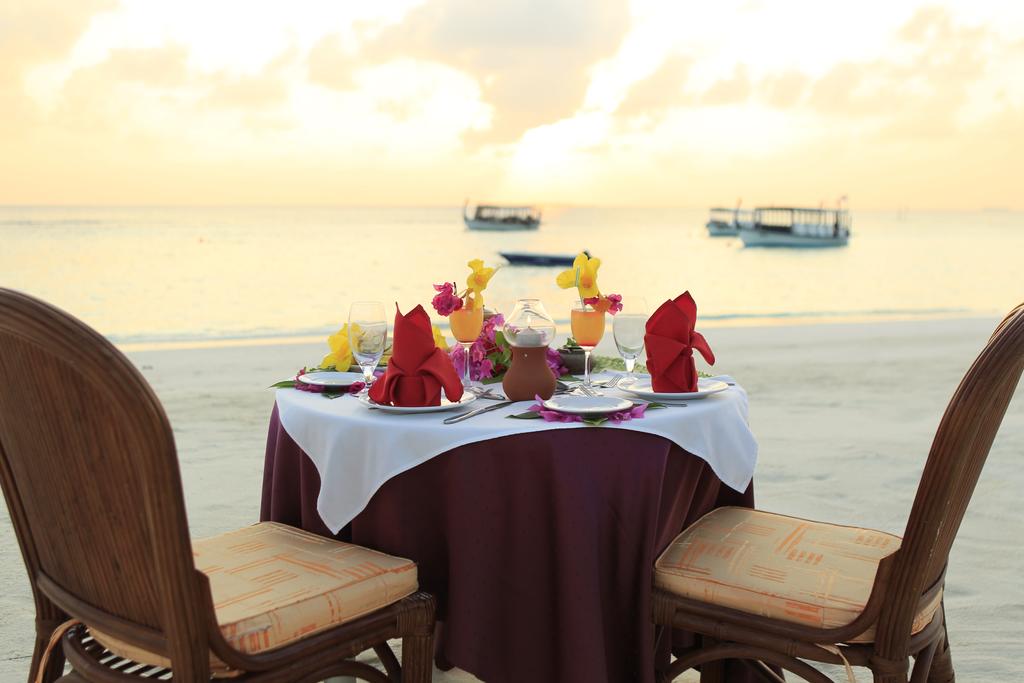 马尔代夫蕉叶岛游记,马尔代夫蓝色美人蕉岛的游记