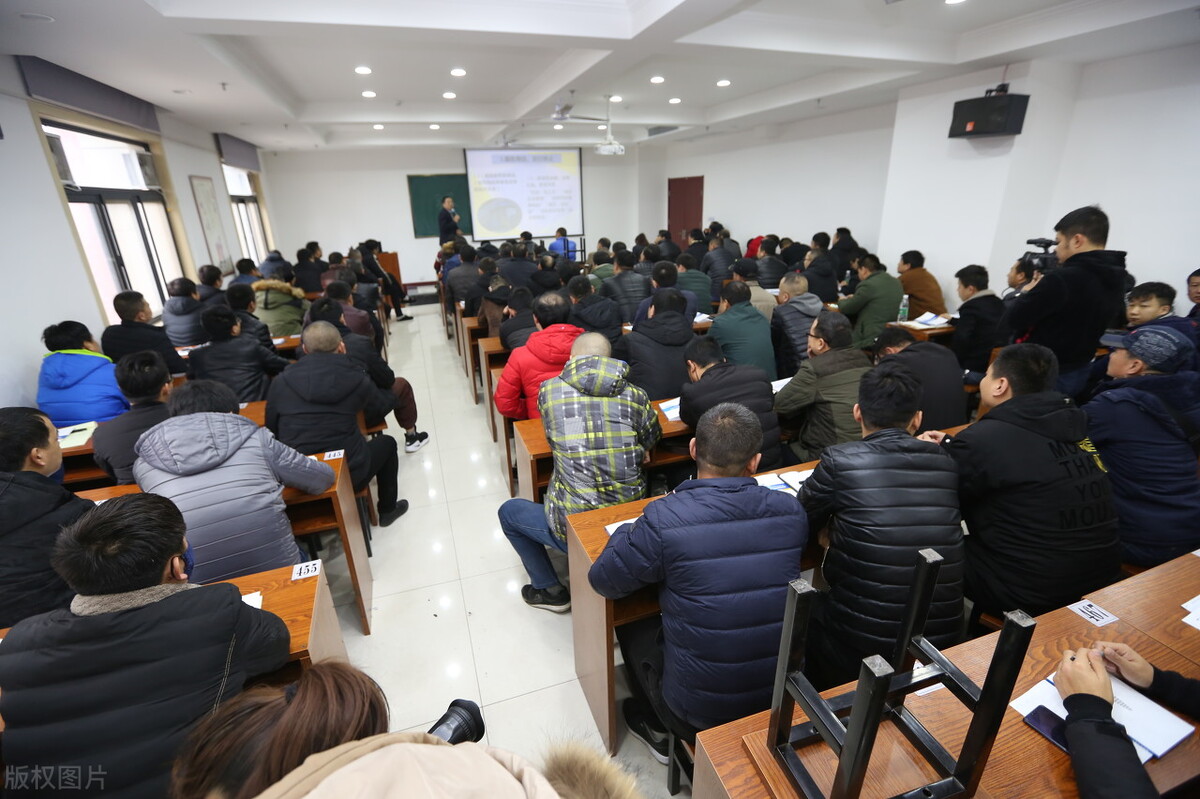 监管高压贯穿退市流程,网约车涨价司机收入不升反降