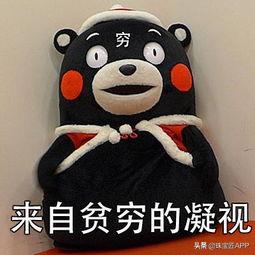 高定珠宝能卖多少钱,高定珠宝是什么样的