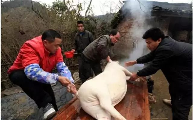 年味都去哪儿了,年味去哪了图片