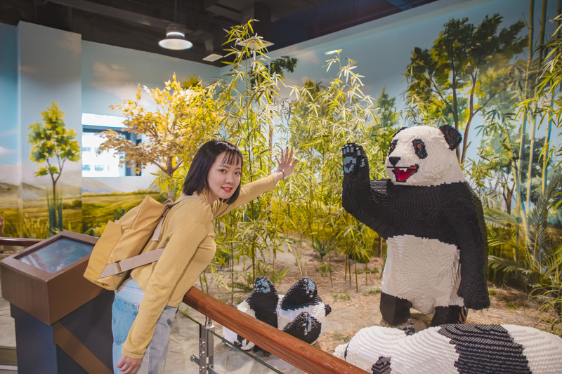 深圳有什么乐园小朋友玩,深圳比较好玩儿的游乐场