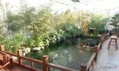 养锦鲤的十大注意事项,养锦鲤的10大忌