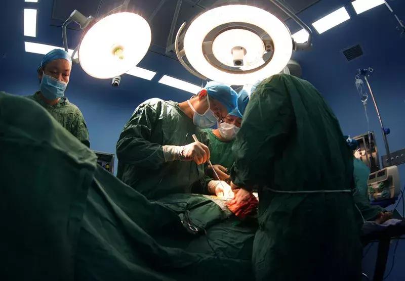 陈孝平院士,陈孝平院士博士生