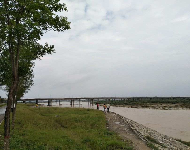 西安渭河风景,西安渭河草滩