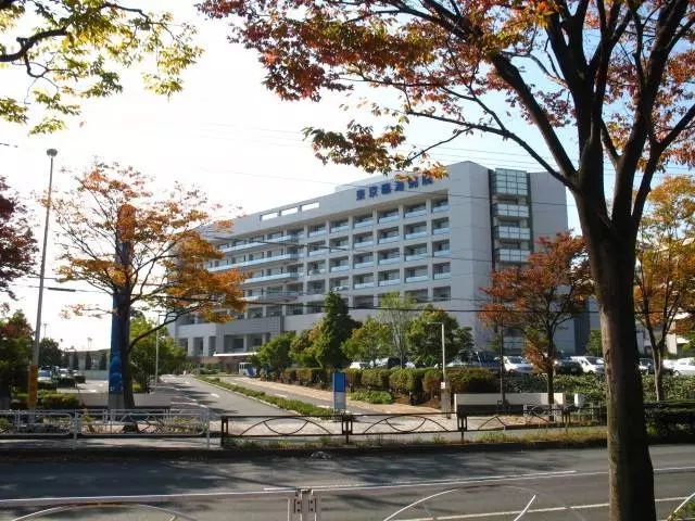 在日本看病的感受,在日本看病