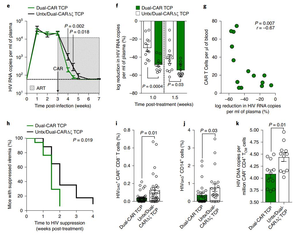 哈佛大学抗癌研究,哈佛新研究一针根除癌细胞
