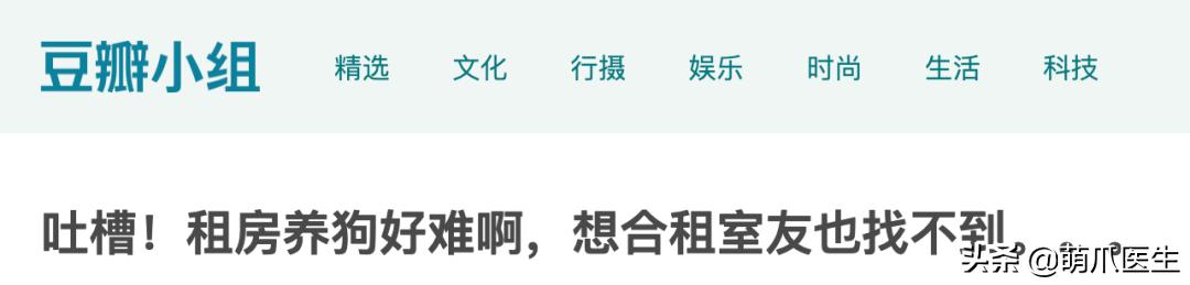 鐚吇浜虹被,鐚吇鍏殑绮樹汉杩樻槸姣嶇殑绮樹汉
