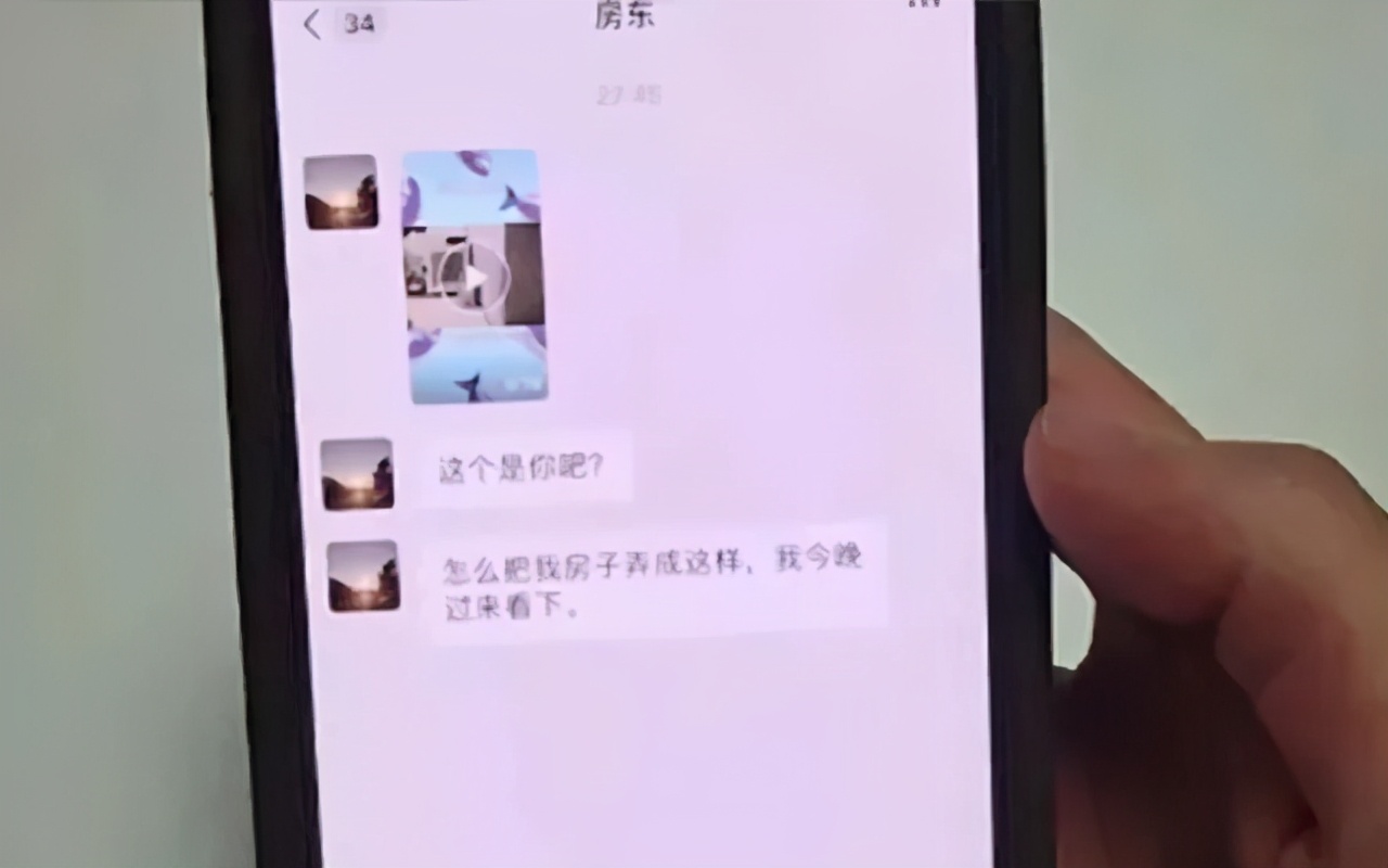 偷偷养宠物房东发现了怎么办,偷偷养阿拉斯加被房东发现了