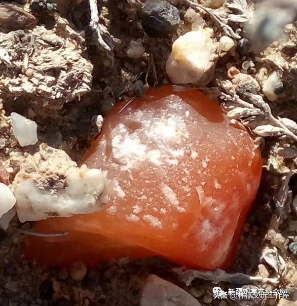 最好的新疆金丝玉,纯正金丝玉