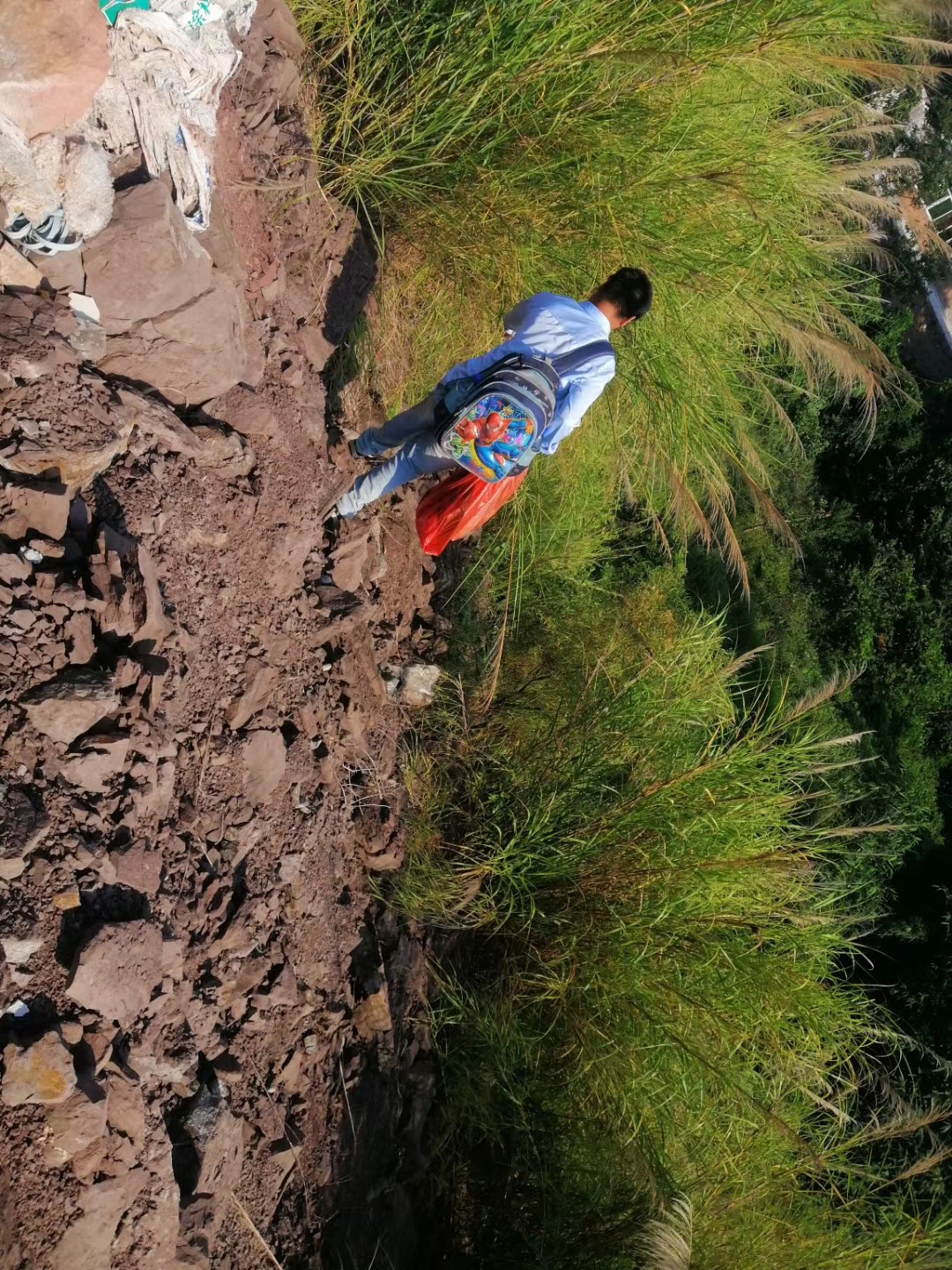 捕捉野外蜜蜂壮大蜂群,野外收捕的蜂群怎么养蜜蜂