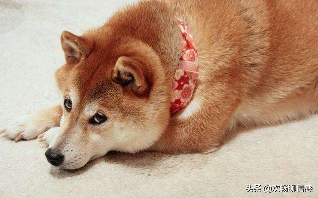 出乎意料！90后*生活性**大数据：“没钱，没时间睡别人”