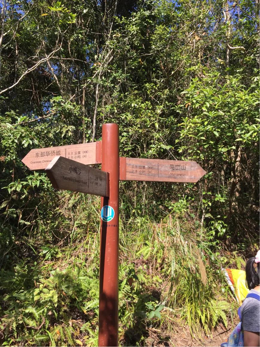 深圳马峦山风景图片,深圳马峦山风景