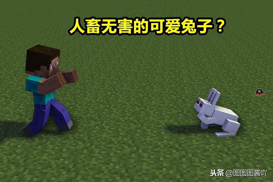 我的世界各种生物冷知识 (我的世界最招人讨厌的生物)