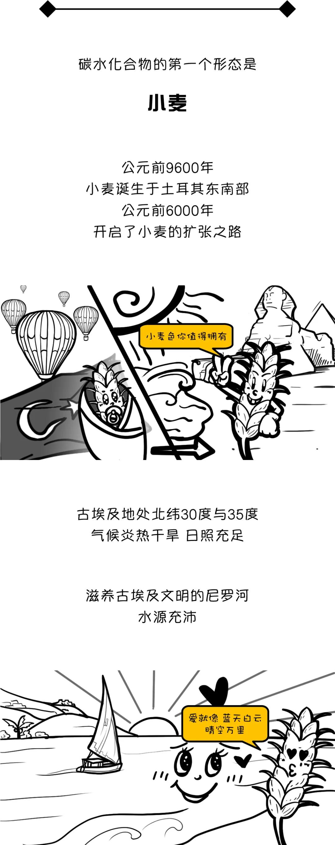 漫画食物简史好书推荐,漫画食物简史视频