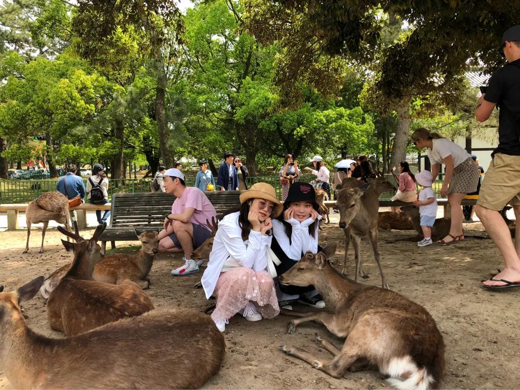 日本大阪旅游攻略大全视频,日本大阪旅游攻略博主